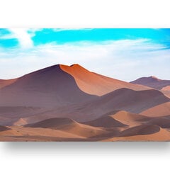 Maalaus Desert, 100 x 70 cm, Wolf Kult hinta ja tiedot | Taulut | hobbyhall.fi