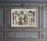 Maalaus Anatomia III, 100 x 70 cm, Wolf Kult hinta ja tiedot | Taulut | hobbyhall.fi