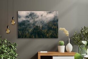 Juliste Sumuinen metsä, 59 x 84 cm (A1), Wolf Kult hinta ja tiedot | Taulut | hobbyhall.fi