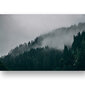 Juliste Misty Forest, 59 x 84 cm (A1), Wolf Kult hinta ja tiedot | Taulut | hobbyhall.fi