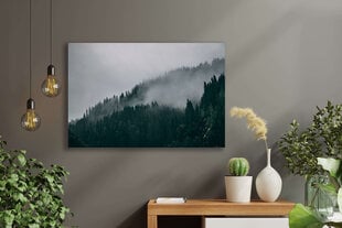 Juliste Misty Forest, 59 x 84 cm (A1), Wolf Kult hinta ja tiedot | Taulut | hobbyhall.fi