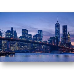 Juliste Manhattanin panoraama, 59 x 84 cm (A1), Wolf Kult hinta ja tiedot | Taulut | hobbyhall.fi