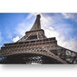 Juliste Eiffel-torni, 59 x 84 cm (A1), Wolf Kult hinta ja tiedot | Taulut | hobbyhall.fi