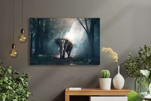 Juliste Elefantti, 59 x 84 cm (A1), Wolf Kult hinta ja tiedot | Taulut | hobbyhall.fi
