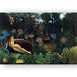 Juliste Dream, Henri Rousseau, 59 x 84 cm (A1), Wolf Kult hinta ja tiedot | Taulut | hobbyhall.fi