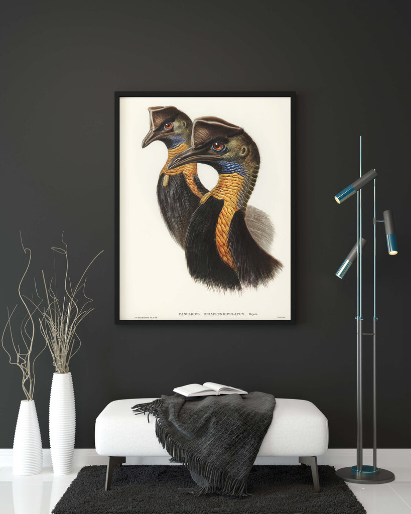 Juliste Cassowary, 59 x 84 cm (A1), Wolf Kult hinta ja tiedot | Taulut | hobbyhall.fi