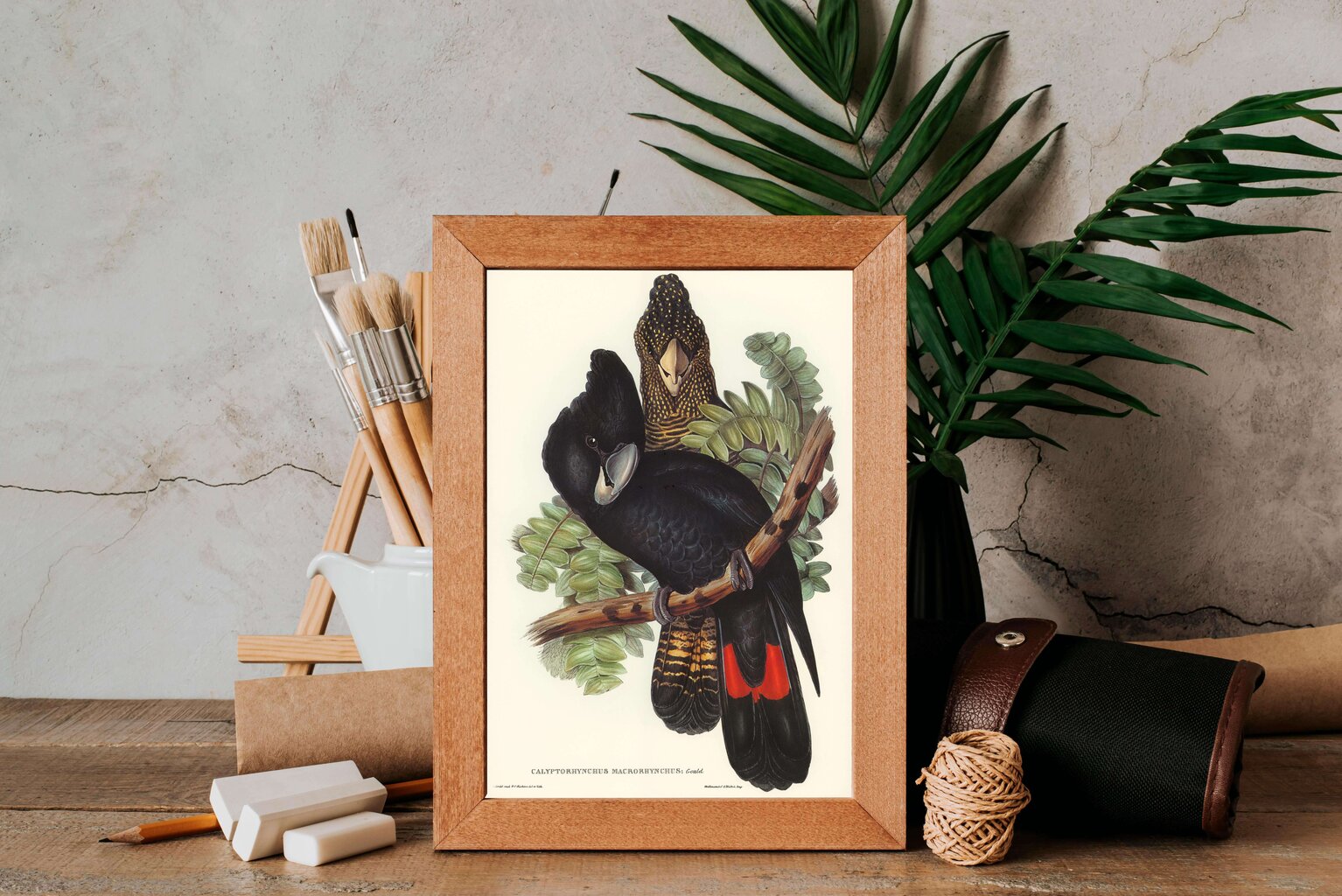 Juliste Cockatoo, 59 x 84 cm (A1), Wolf Kult hinta ja tiedot | Taulut | hobbyhall.fi