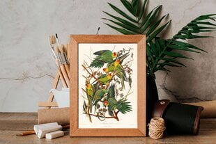 Juliste Vihreät papukaijat, 59 x 84 cm (A1), Wolf Kult hinta ja tiedot | Taulut | hobbyhall.fi