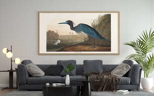 Juliste Sininen lintu, 59 x 84 cm (A1), Wolf Kult hinta ja tiedot | Taulut | hobbyhall.fi