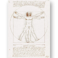 Juliste Vitruvius Man, Leonardo da Vinci, 59 x 84 cm (A1), Wolf Kult hinta ja tiedot | Taulut | hobbyhall.fi