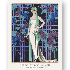 Juliste Art Deco II, 59 x 84 cm (A1), Wolf Kult hinta ja tiedot | Taulut | hobbyhall.fi