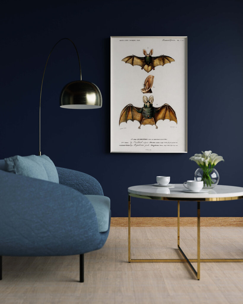 Juliste Bats III, 59 x 84 cm (A1), Wolf Kult hinta ja tiedot | Taulut | hobbyhall.fi
