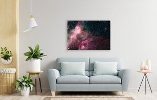 Maalaus Pinkki sumu, 100 x 70cm hinta ja tiedot | Taulut | hobbyhall.fi