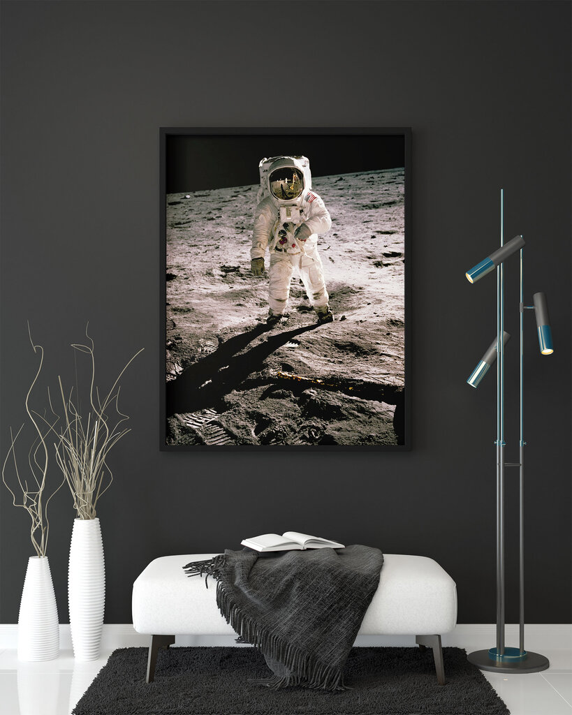 Maalaus Edwin Aldrin Kuussa, 100 x 70 cm hinta ja tiedot | Taulut | hobbyhall.fi