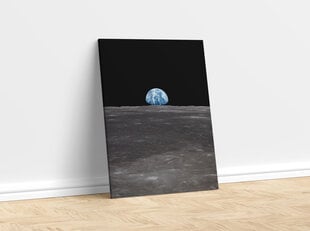 Maalaus Maa Kuusta, 100 x 70 cm hinta ja tiedot | Taulut | hobbyhall.fi