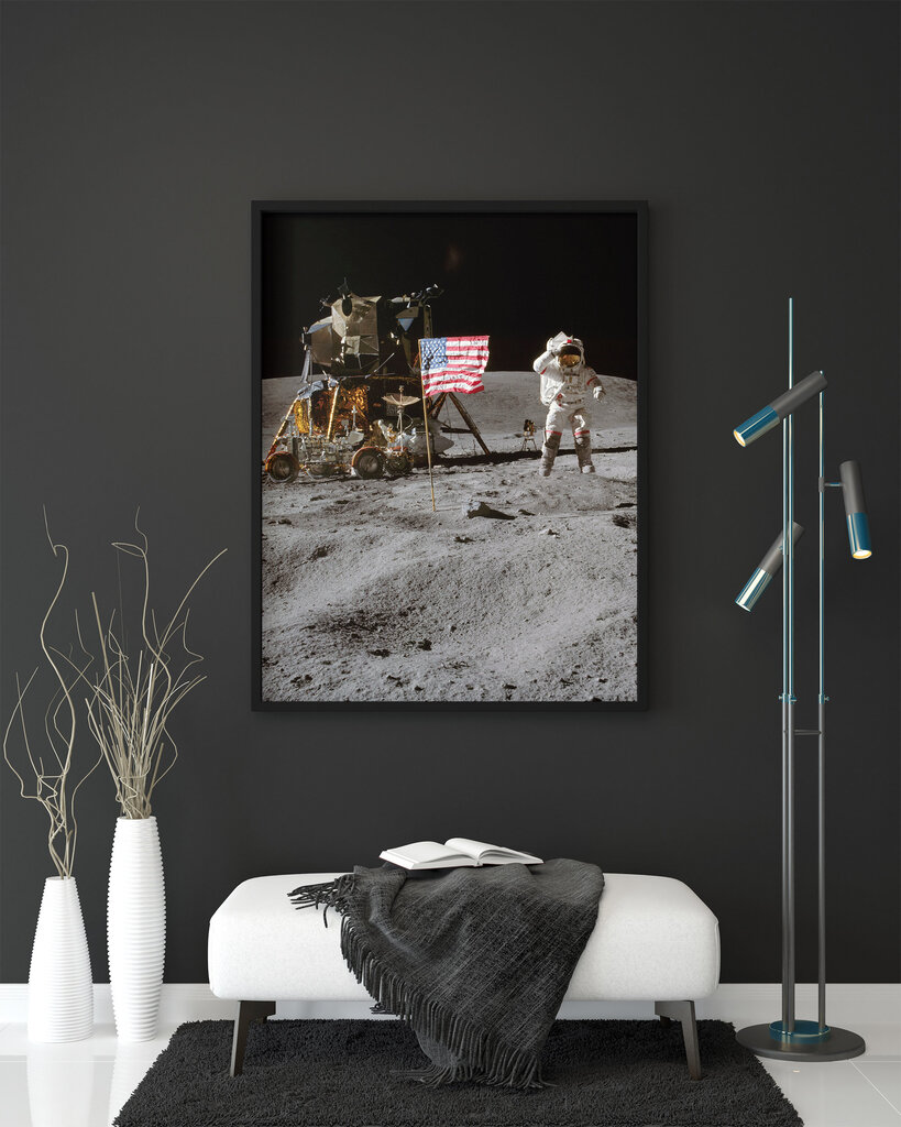 Maalaus John W. Young on the Moon, 100 x 70 cm hinta ja tiedot | Taulut | hobbyhall.fi