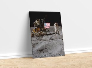 Maalaus John W. Young on the Moon, 100 x 70 cm hinta ja tiedot | Taulut | hobbyhall.fi