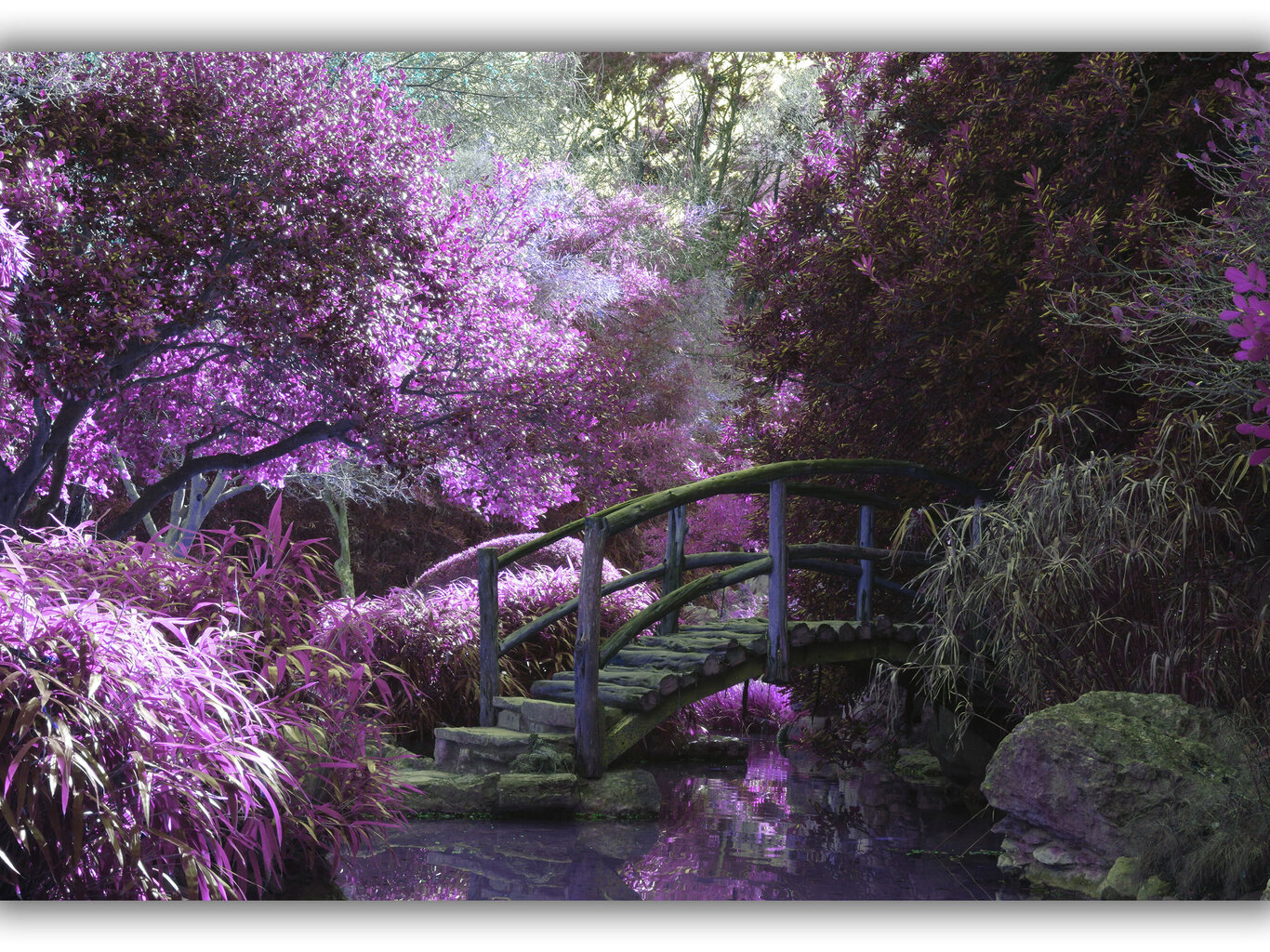 Maalaus Mystic Garden, 100 x 70 cm hinta ja tiedot | Taulut | hobbyhall.fi