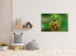 Maalaus Chameleon, 100 x 70 cm hinta ja tiedot | Taulut | hobbyhall.fi