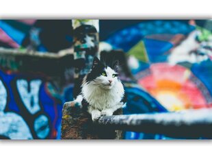 Maalaus Kaupungin kissa, 100 x 70 cm hinta ja tiedot | Taulut | hobbyhall.fi