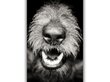 Maalaus Koiran nenä, 100 x 70 cm hinta ja tiedot | Taulut | hobbyhall.fi