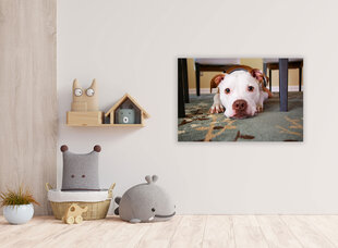 Maalaus Ystävällinen koira, 100 x 70 cm hinta ja tiedot | Taulut | hobbyhall.fi