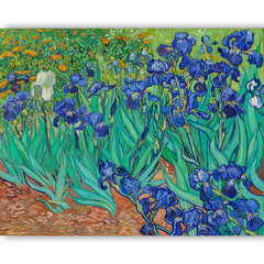 Iirikset jäljennös (1889) (Vincent Van Gogh), 100 x 70 cm hinta ja tiedot | Taulut | hobbyhall.fi