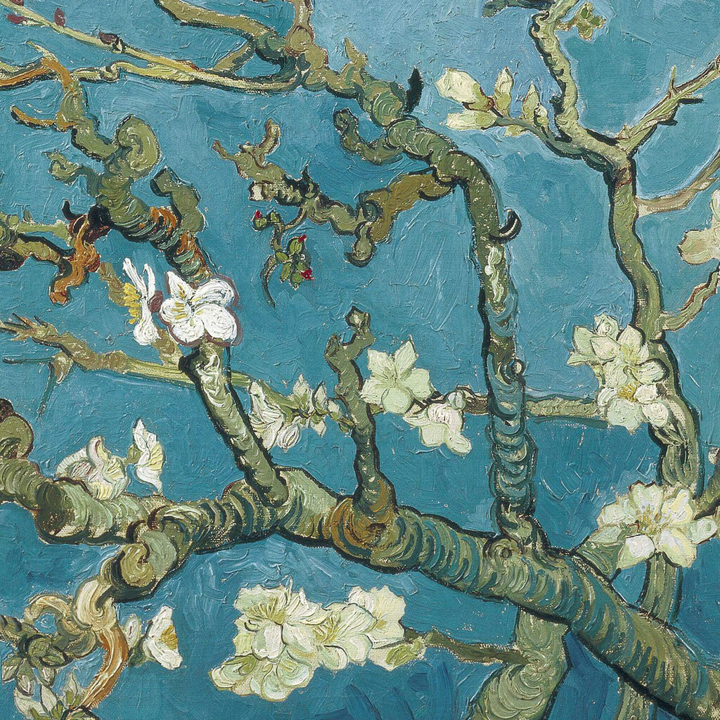 Jäljennös Kukkivat mantelin oksat (Vincent Van Gogh), 100 x 70 cm hinta ja tiedot | Taulut | hobbyhall.fi