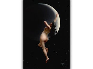 Jäljennös Night (Luis Ricardo Faliero), 100 x 70 cm hinta ja tiedot | Taulut | hobbyhall.fi