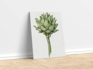 Juliste Artisokka, 59 x 84 cm (A1), hinta ja tiedot | Taulut | hobbyhall.fi