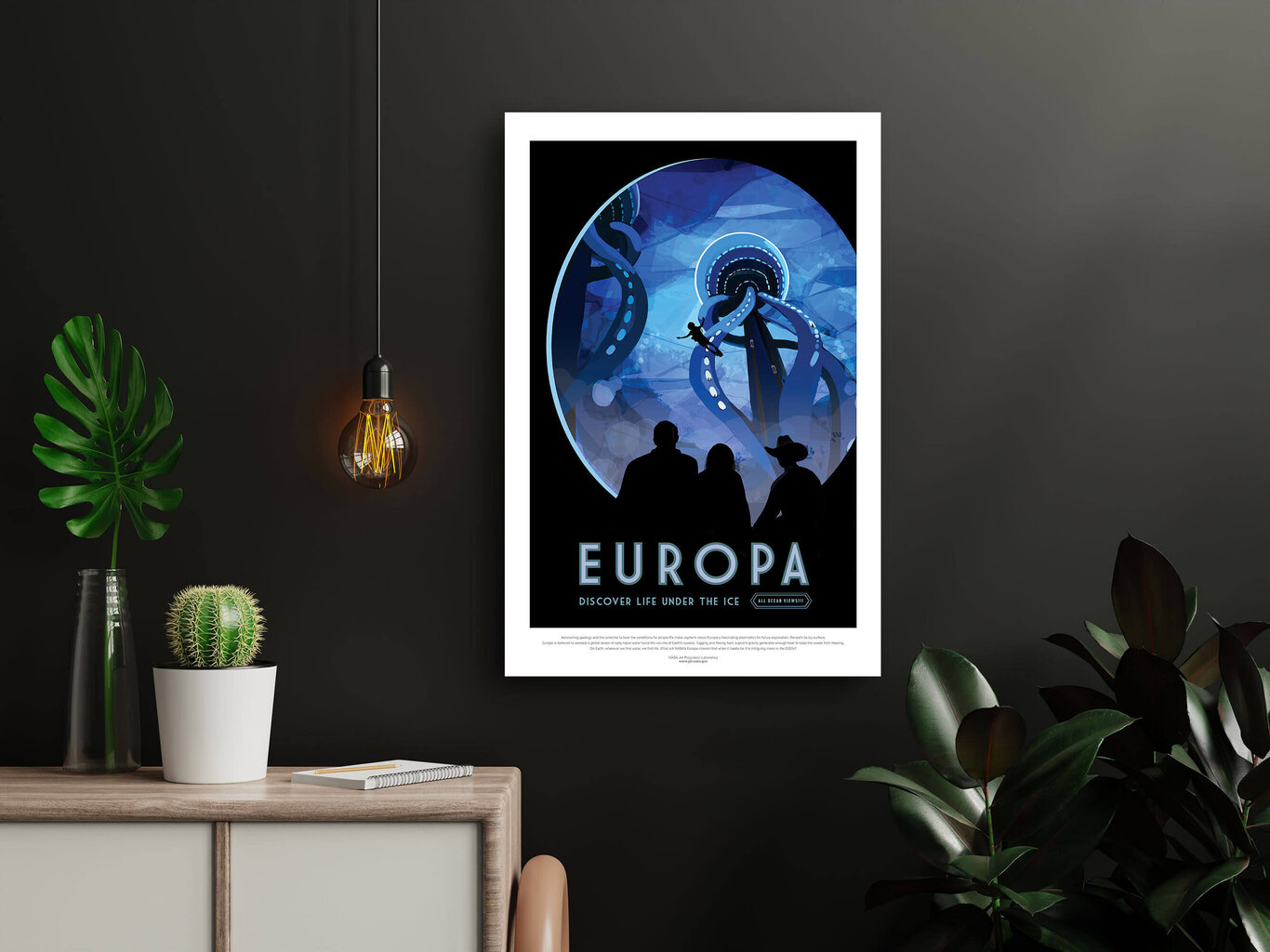 Juliste NASA: Eurooppa, 59 x 84 cm (A1), hinta ja tiedot | Taulut | hobbyhall.fi