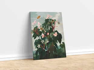 Jäljennös viistolehtinen begonia (Robert John Thornton (1808)), 100 x 70 cm hinta ja tiedot | Taulut | hobbyhall.fi