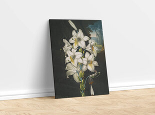 Jäljennös Valkoinen lilja (Robert John Thornton (1808)), 100 x 70 cm hinta ja tiedot | Taulut | hobbyhall.fi