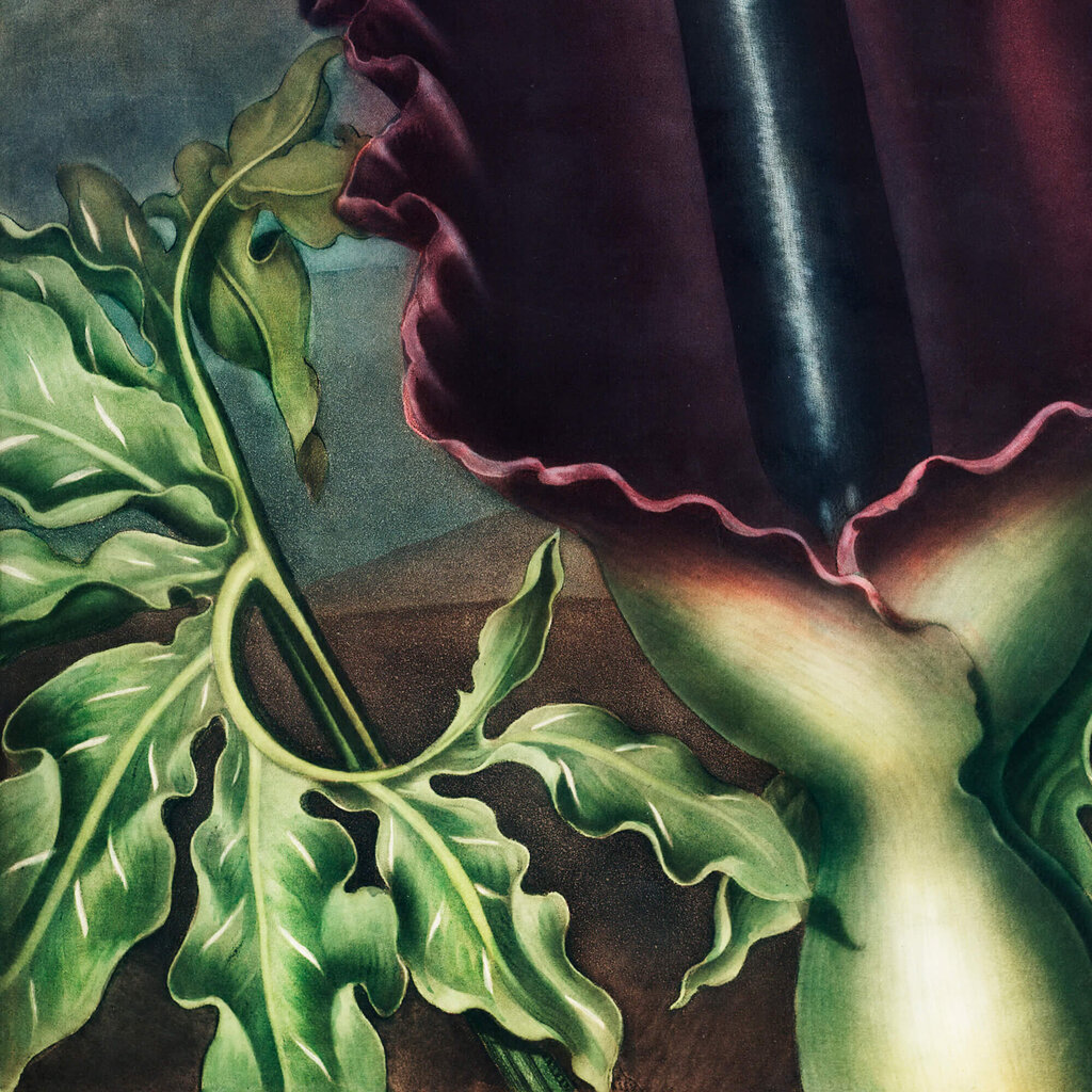 Jäljennös The Dragon Arum (Robert John Thornton (1808)), 100 x 70 hinta ja tiedot | Taulut | hobbyhall.fi