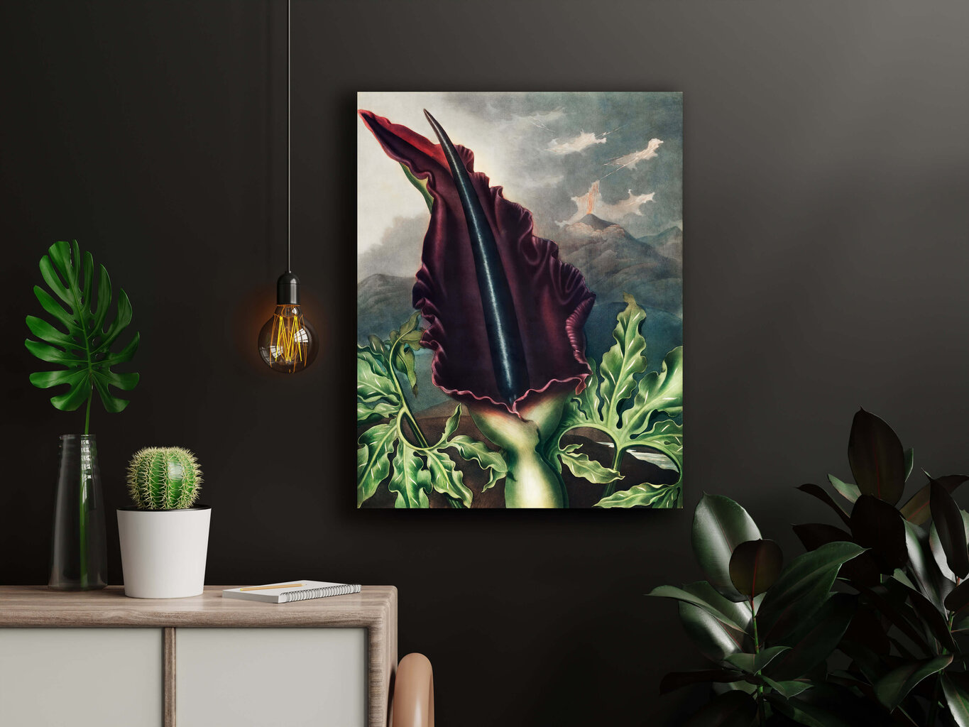 Jäljennös The Dragon Arum (Robert John Thornton (1808)), 100 x 70 hinta ja tiedot | Taulut | hobbyhall.fi