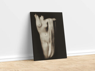 Retro eroottinen maalaus Modern Torso (1918) (Arnold Genthe), 100 x 70 cm hinta ja tiedot | Eroottiset lahjat | hobbyhall.fi