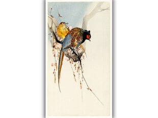 Jäljennös Fasaanipari ja luumukukka (Ohara Koson), 100 x 60 cm hinta ja tiedot | Taulut | hobbyhall.fi