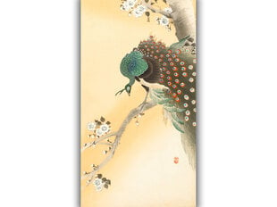 Riikinkukko kirsikankukan päällä (O'Hara Koson), 100 x 60 cm hinta ja tiedot | Taulut | hobbyhall.fi