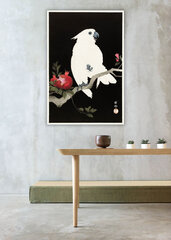 Kakadun ja granaattiomena (O'Hara Koson) Jäljennös, 100 x 70 cm hinta ja tiedot | Taulut | hobbyhall.fi