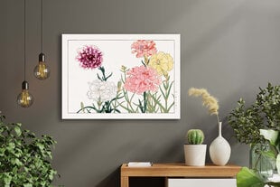 Jäljennös Vintage Botany: Neilikat, 100 x 70 cm hinta ja tiedot | Taulut | hobbyhall.fi