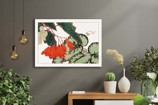 Jäljennös Vintage Botany: Begonia, 100 x 70 cm hinta ja tiedot | Taulut | hobbyhall.fi