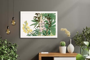 Jäljennös Vintage Botany: Lupiinit, 100 x 70 cm hinta ja tiedot | Taulut | hobbyhall.fi