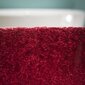Kylpyhuoneen matto Sealskin Doux, punainen hinta ja tiedot | Kylpyhuoneen sisustus | hobbyhall.fi