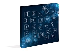 Hopeakorut joulukalenteri Silver hinta ja tiedot | Korusetit | hobbyhall.fi