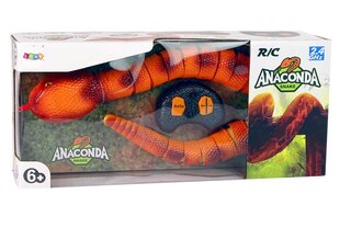 Kauko-ohjattava käärme Anaconda, oranssi hinta ja tiedot | Poikien lelut | hobbyhall.fi