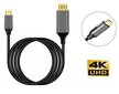 USB-C DisplayPort 4K 60Hz Mac Macbook Th 3.0 hinta ja tiedot | Kaapelit ja adapterit | hobbyhall.fi