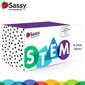 Sassy Stem -leikkisetti, 12 osaa hinta ja tiedot | Vauvan lelut | hobbyhall.fi