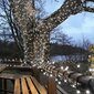 Jouluvalot Berimax 500 LED, kylmä valkoinen hinta ja tiedot | Jouluvalot | hobbyhall.fi
