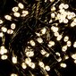 Jouluvalot Berimax 100 LED, lämmin valkoinen hinta ja tiedot | Jouluvalot | hobbyhall.fi