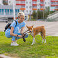 Berimax kertakäyttöiset kosteusalustat koirille, 50 kpl 60x60 cm + pussit 30 kpl. hinta ja tiedot | Eläinten hoitotuotteet | hobbyhall.fi